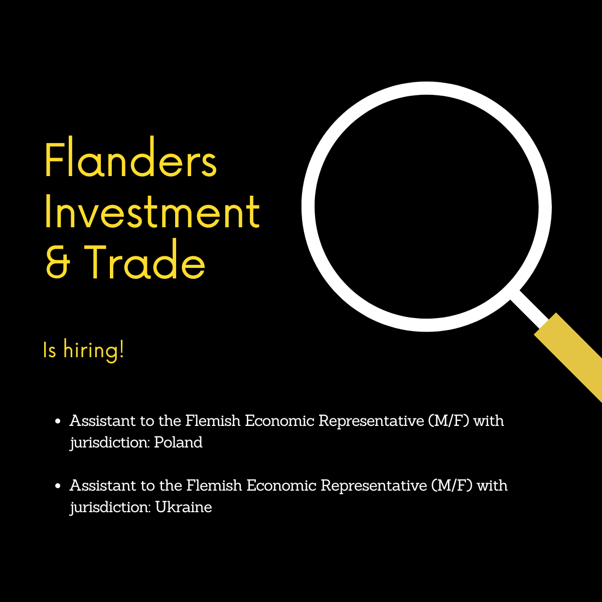 Job opportunity from Flanders Investment & Trade