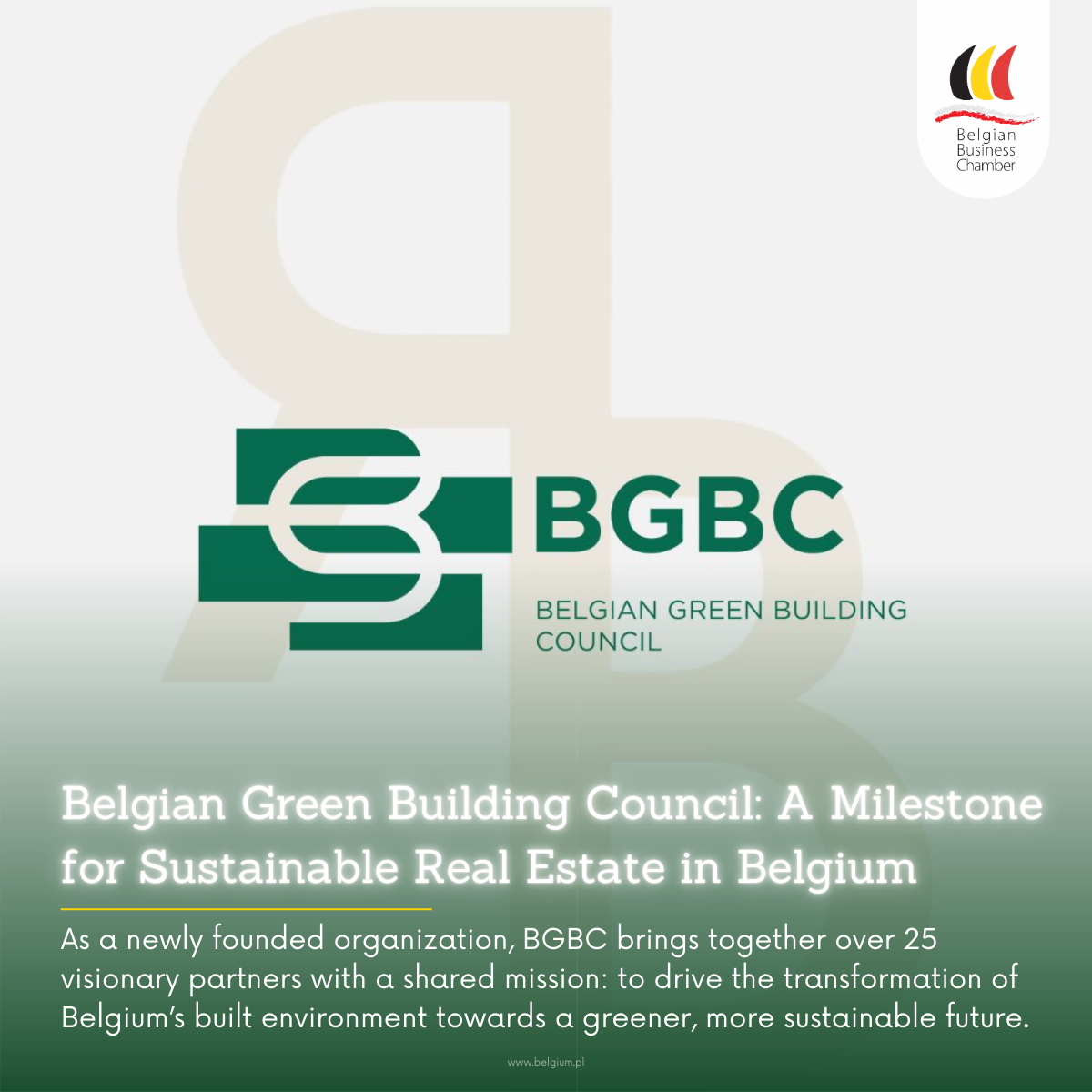 Belgian Green Building Council: A Milestone for Sustainable Real Estate in Belgium