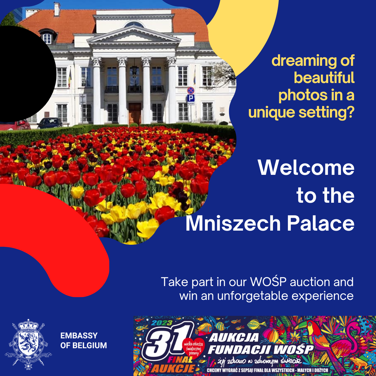 Do you dream of a photo session at the Mniszech Palace? - WOŚP Auction - Allegro.pl